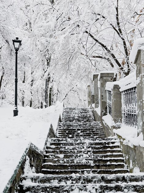 Foto parco cittadino d'inverno