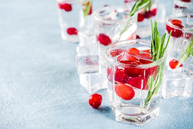 Winter cocktail with cranberry and rosemary 