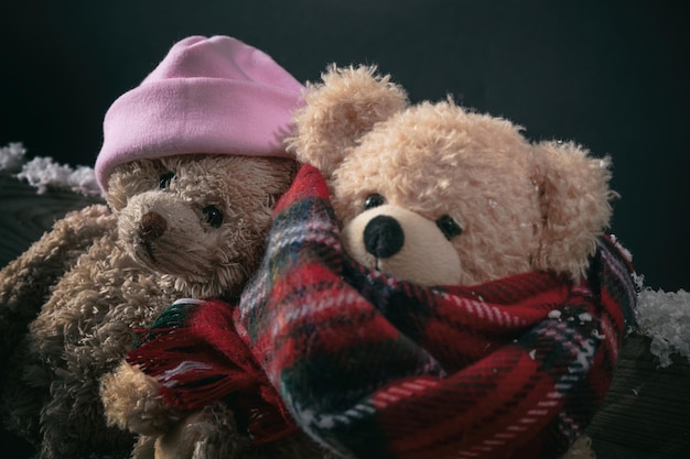 Winter cold weather love Couple teddy bears sitting on a snowed bench closeup view