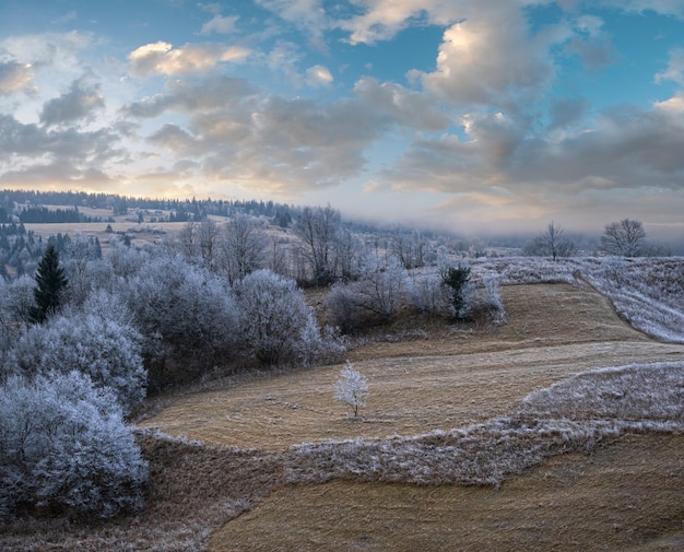 Winter coming Picturesque pre sunrise scene above late autumn mountain countryside with hoarfrost on grasses trees slopes Peaceful sunlight rays from cloudy sky Ukraine Carpathian Mountains