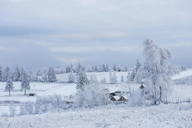 Зимний сельский пейзаж с покрытыми снегом деревьями и холмами