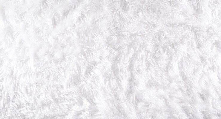 Photo winter cozy wall made from wool carpet, top view with copy space.