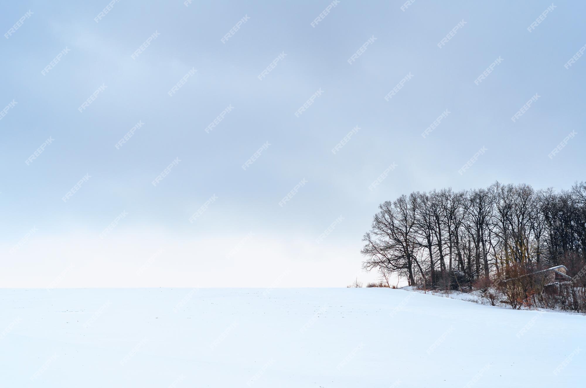 Free: Snowy winter background, gray sky