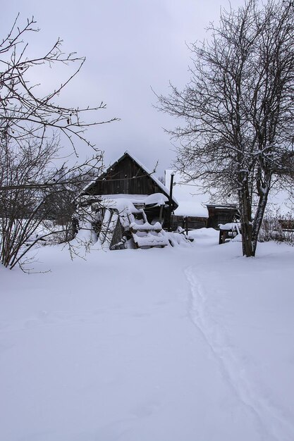 Зимний день в Латвии, Европе, живописный вид на природу