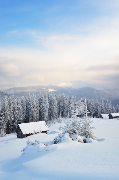 Winter day in the mountains