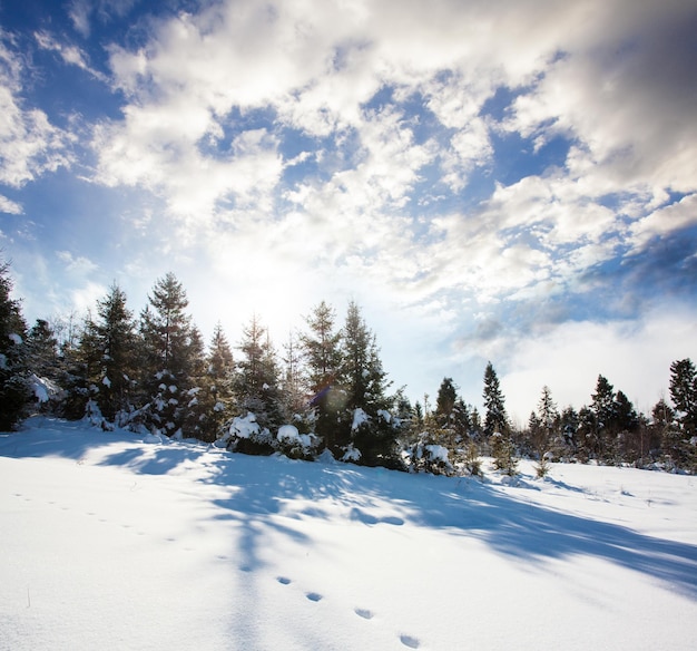 Winter day in mountains