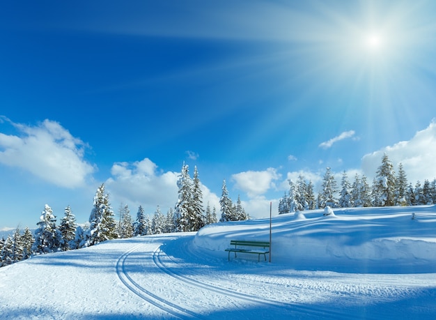 Winter dennenbos besneeuwde berglandschap met skipiste en bank (top van papageno bahn - filzmoos, oostenrijk)