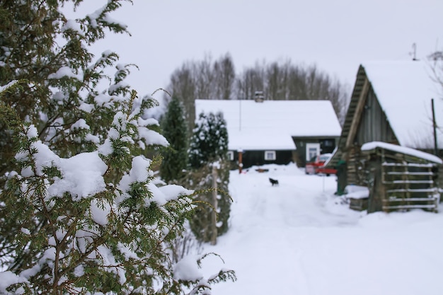 Winter dorpslandschap met houten huis, sparren en sneeuw.