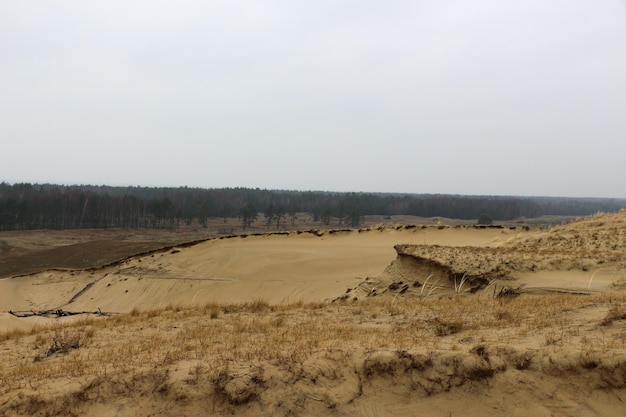 Foto dune invernali della costa del mar baltico