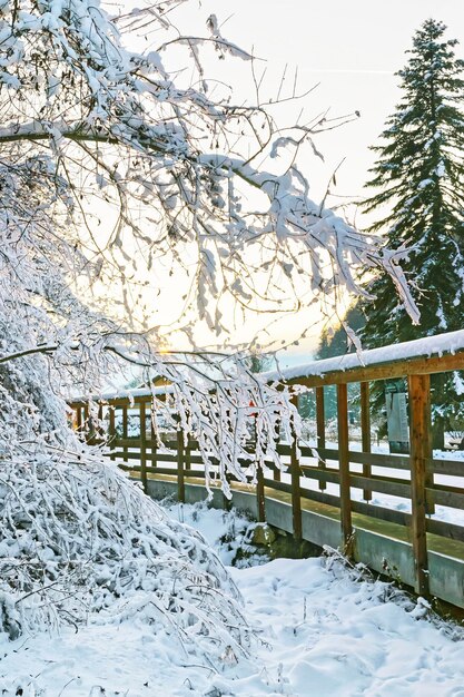 Foto winter en sneeuw bedekt zoutmijncomplex in zwitserland. het zoutmijncomplex staat op de lijst van zwitsers erfgoed van nationaal belang.