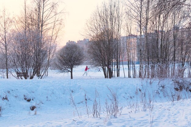 Winter evening in the city park