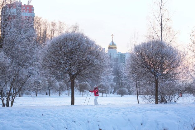 Winter evening in the city park