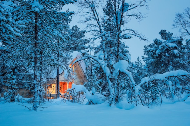 Winter fairy night wooden cottage with warm lamp light in blue snowy forest silent cold winter weather Seasonal landscape