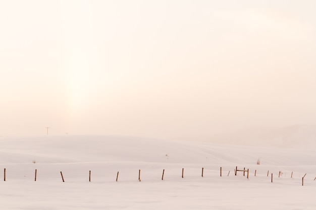Фото Зимняя ферма в стимбот-спрингс, колорадо.