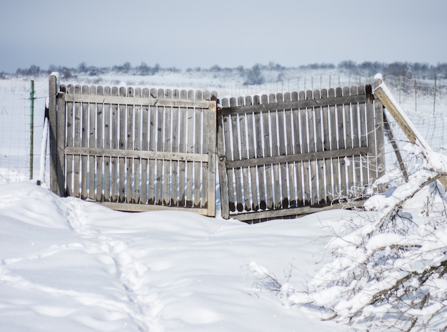 Winter in the farm