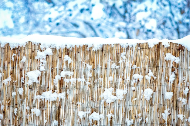 A Winter fence on nature in the park background