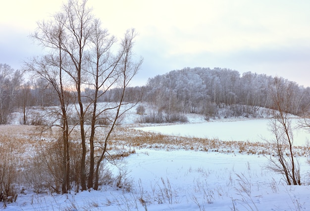 Photo winter field in the morning. bare trees among drifts of snow, forest on the horizon