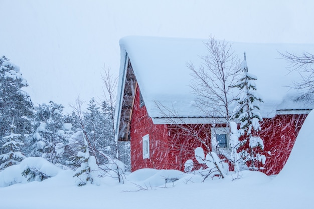 Finlandia invernale. foresta fitta e molta neve. casa in legno con pareti rosse. nevicata