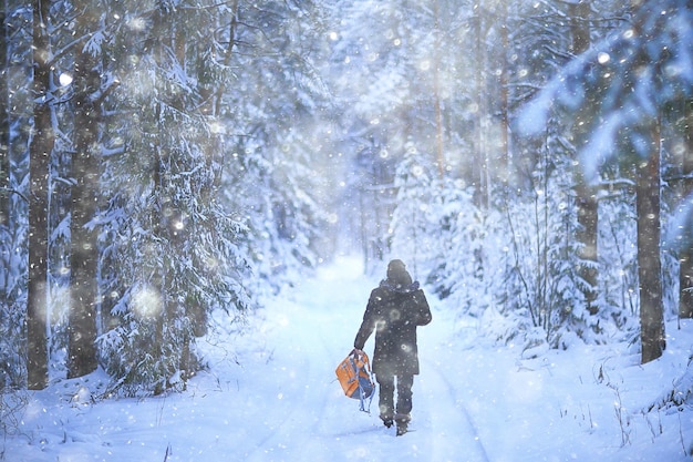 12月に覆われた雪のある森の風景の中の冬のモミの木