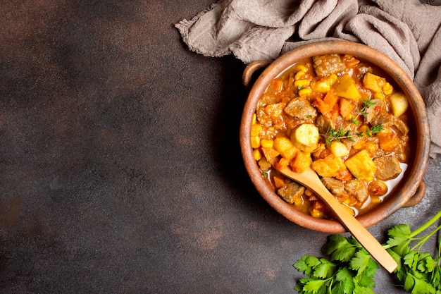 Winter food stew in bowl copy space