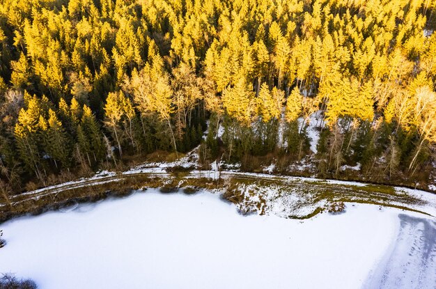 Winter forest aerial view from above during sunset