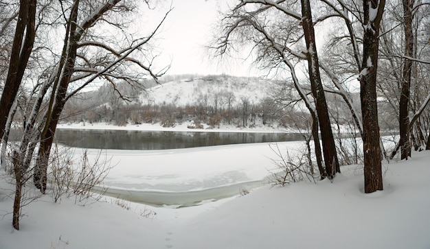 Зимний лес на берегу реки Дон, на поверхности меловых гор. Замерзающий пруд в России.