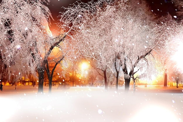 Winter forest Christmas  city park trees covered by snow ,snowman,soft evening street lantern