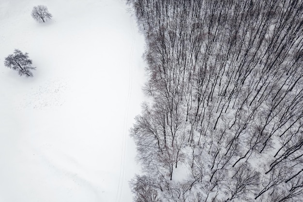 上から冬の森。空撮の森と雪。