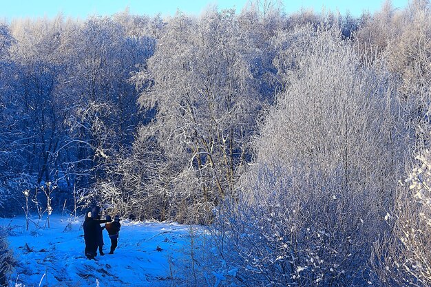 雪に覆われた冬の森の風景、12月のクリスマスの自然の白い背景