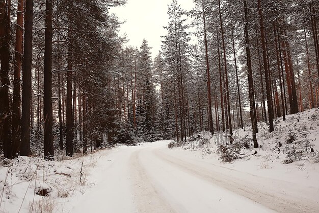 雪に覆われた冬の森の風景、12月のクリスマスの自然の白い背景