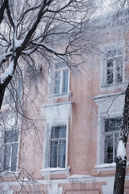 Зимний лесной пейзаж. Высокие деревья под снежным покровом. Январский морозный день в парке.