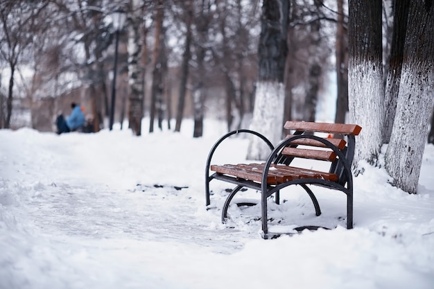 Зимний лесной пейзаж. Высокие деревья под снежным покровом. Январский морозный день в парке.