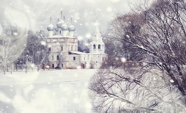 Winter forest landscape. Tall trees under snow cover. January frosty day in the park.