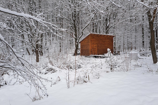 Foto paesaggio forestale invernale con vecchio fienile in legno