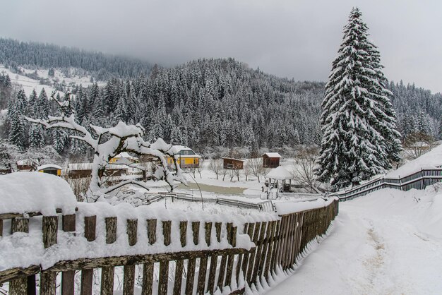 Winter forest and river in mountain region Winter vacations