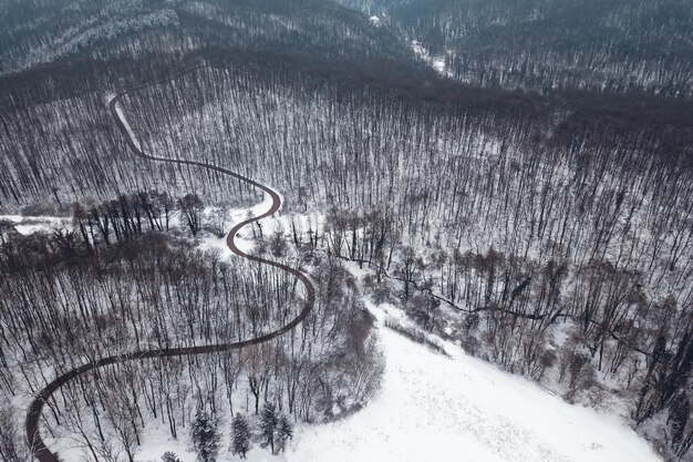 Winter forest and Road. Top view.