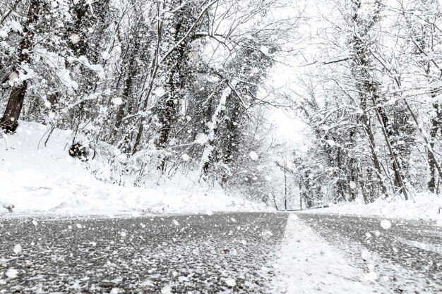 Strada della neve della foresta di inverno. vista della neve di inverno della strada forestale.