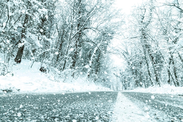 冬の森の雪道。林道冬の雪景色。