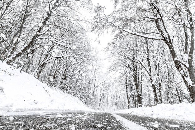 Winter forest snow road. Forest road winter snow view.