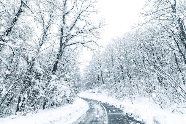 冬の森のスノーロード。林道冬の雪景色。