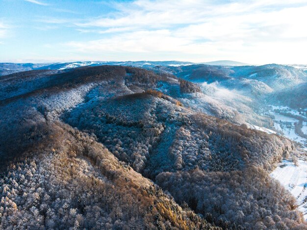 Foto foresta invernale collina soleggiata contro il cielo