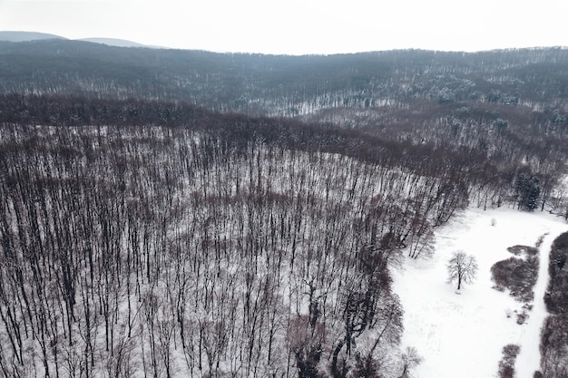 冬の森 上面図 雪に覆われた冬の森の航空写真