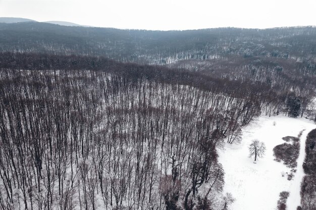 Winter forest Top view. Snowy winter forest aerial.