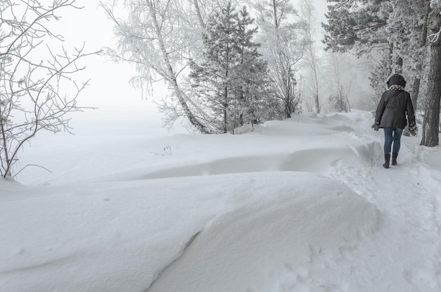 Winter forest with large snow drifts.