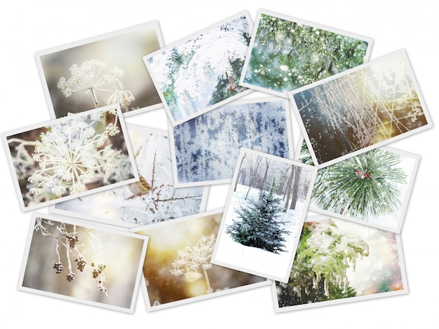 Winter fotocollage. selectieve aandacht. natuur winter