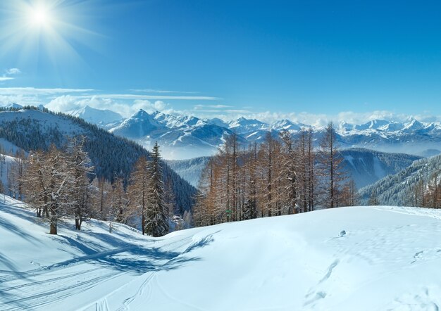 Winter grove near Dachstein mountain massif and ski run (Austria)