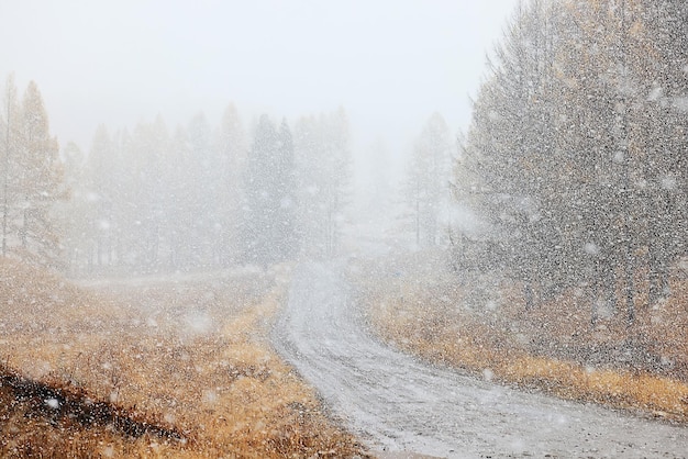 winter highway snowfall background fog poor visibility