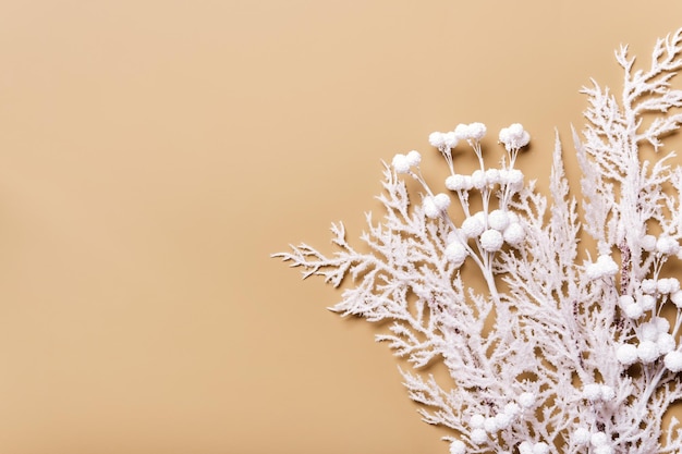 Sfondo per le vacanze invernali in colori neutri ramo di gelo bianco con bacca e spazio per la copia della cornice bianca