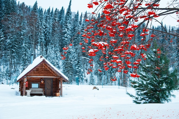 Winter holiday house in forest.