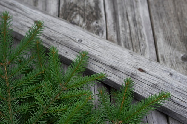 winter holidays background with green fir branches on wooden surface for christmas and new year